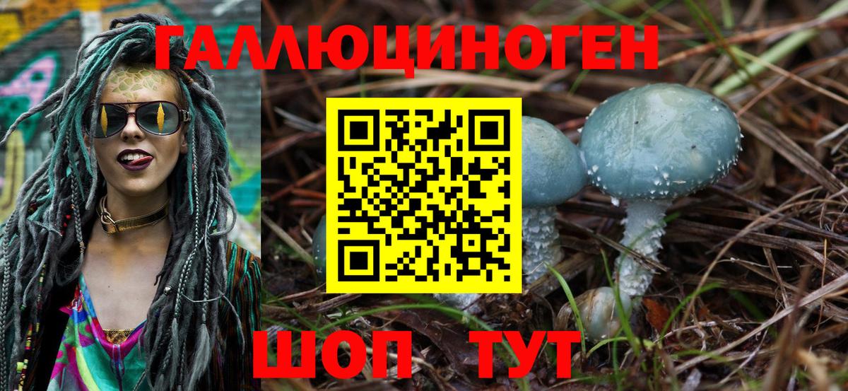 Алексеевка  Псилоцибиновые грибы Psilocybine cubensis  Вход с VPN  Псилоцибиновые грибы Psilocybe 